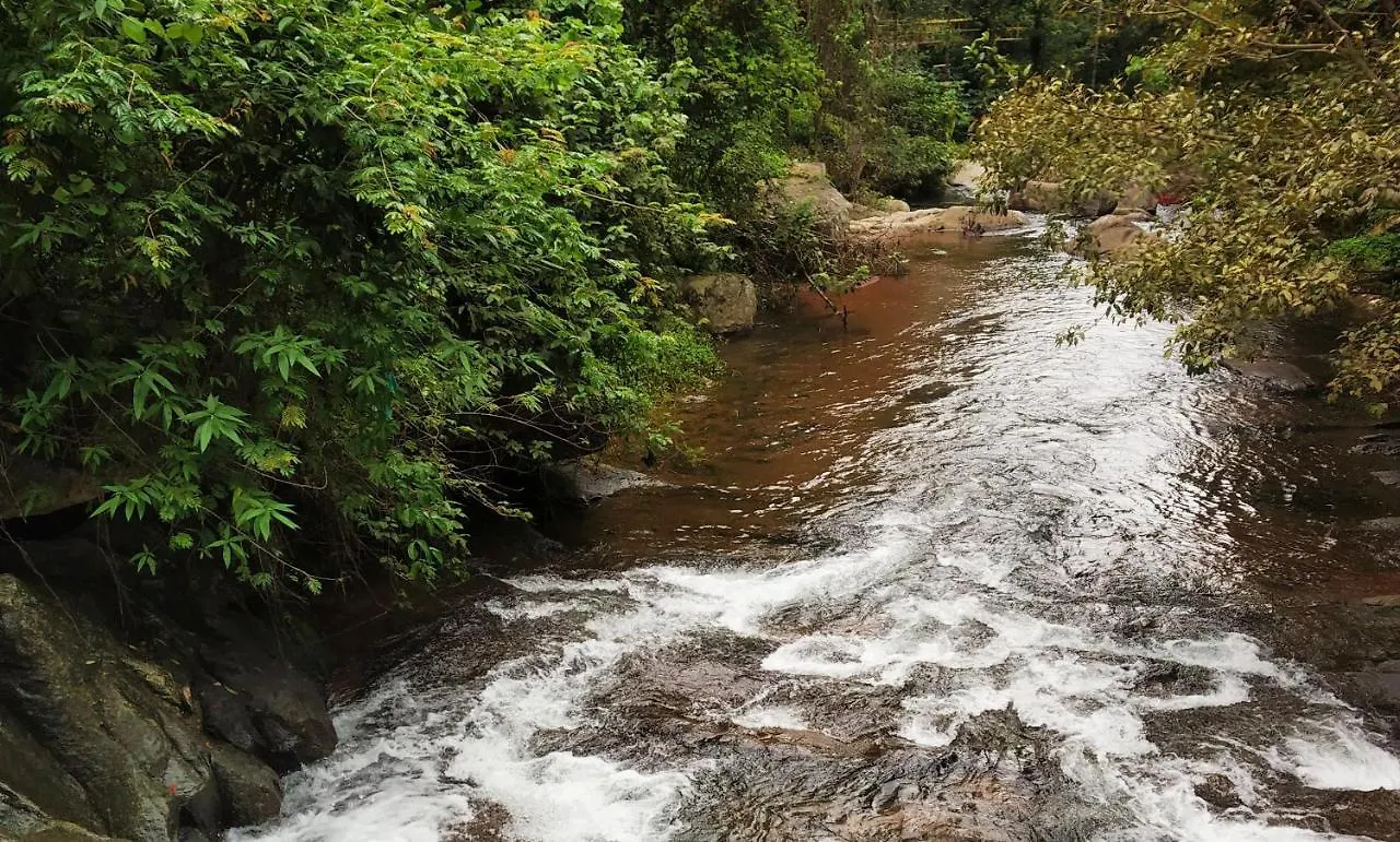 Сasa de vacaciones Aruvi Homestay Vythiri India